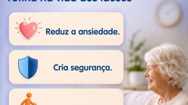 A importância da rotina