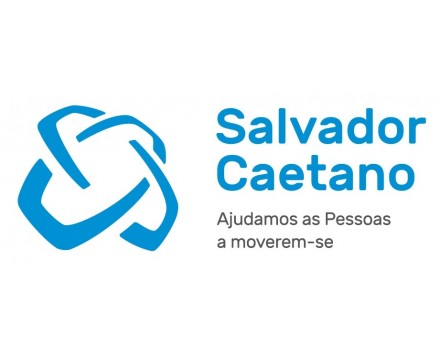 Grupo Salvador Caetano